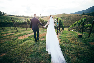 Winery wedding bliss
